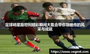 以稳定的版