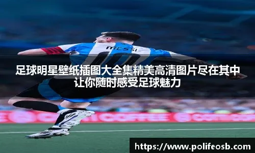 正式